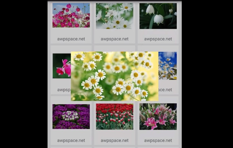 GridView Transition for Image Gallery